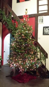 My 2014 Christmas tree!