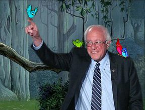 bernie bird